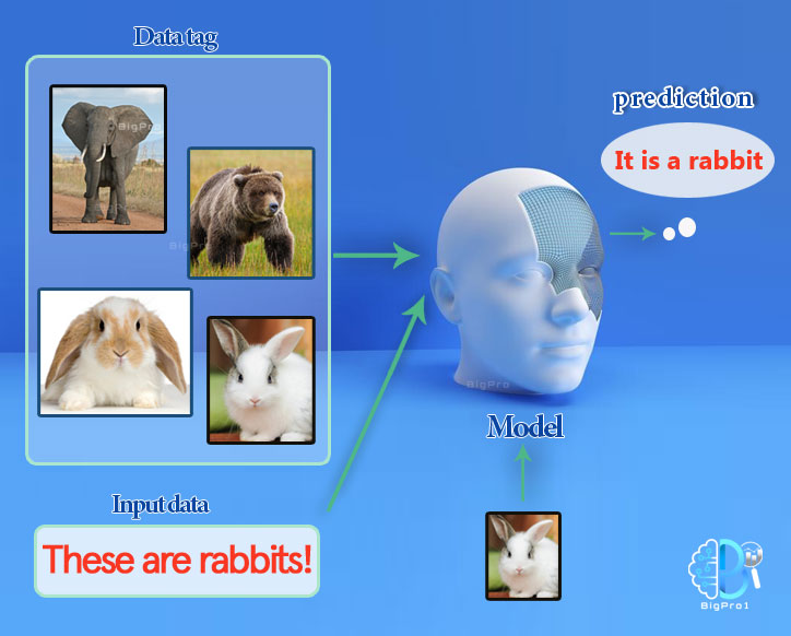 supervised machine learning, supervised learning